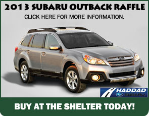 OutbackRaffle_littegraphic