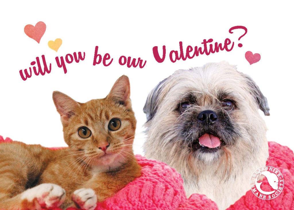 Will You Be Our Valentine?