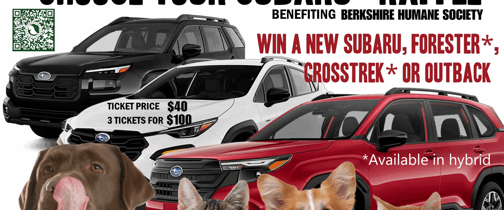 Subaru raffle graphic