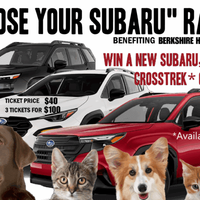 Subaru raffle graphic