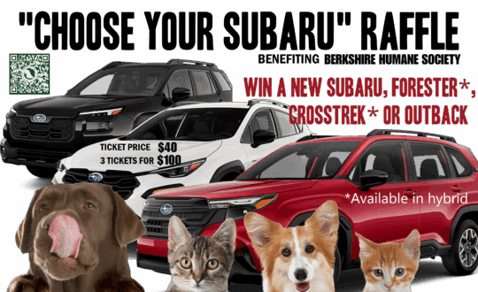 Subaru raffle graphic