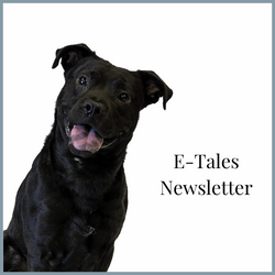 E-Tales Newsletter