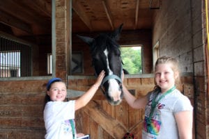 Equine Advocate Visit