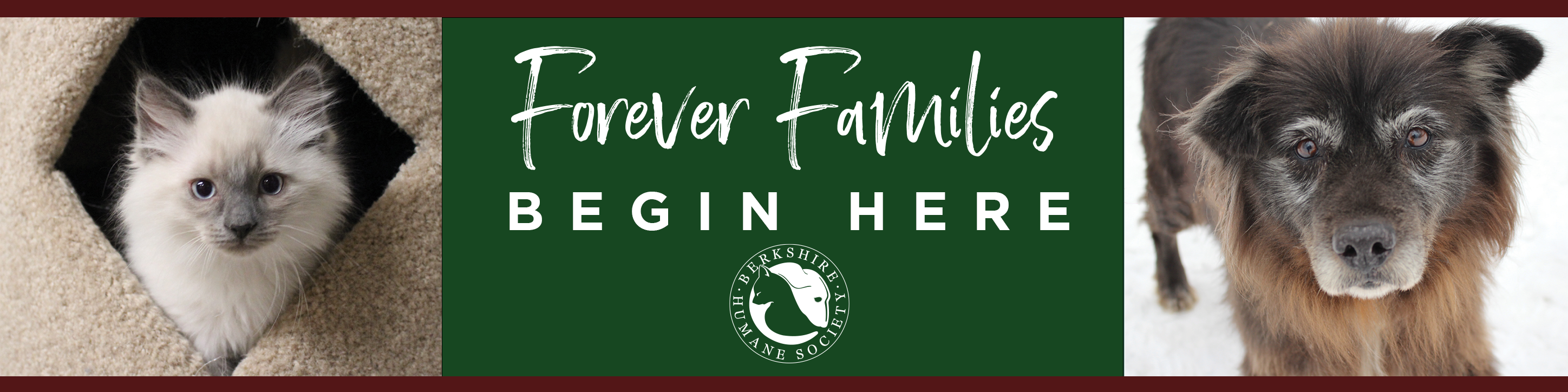 Forever Family Campaign
