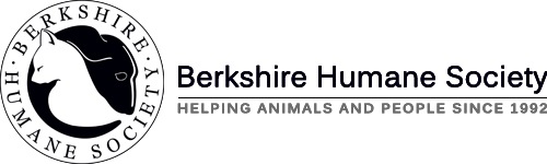 Berkshire Humane Society Helping Animals and People Since 1992