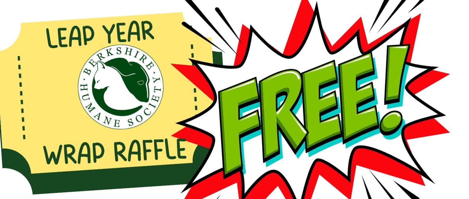 Free 2nd Chance Wrap Raffle! – Berkshire Humane Society