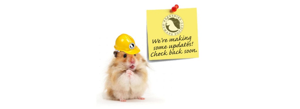 Website is currently under maintenance