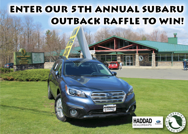 Subaru Car Raffle & Fall Open House Berkshire Humane Society