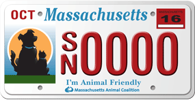 MAC license plate program