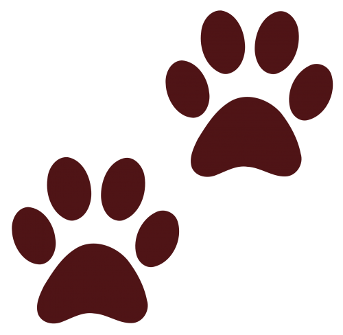 PNGPIX-COM-Dog-Paw-Print-PNG-Transparent-Image-500x488 ...