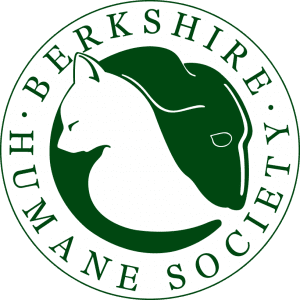berkshire humane society dogs for adoption
