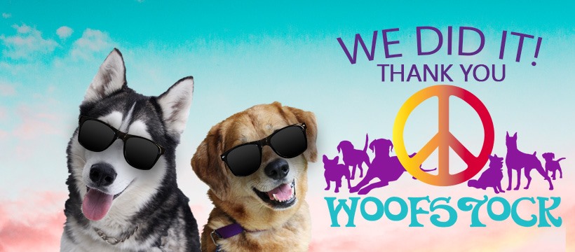 Woofstock 2019 We did it!