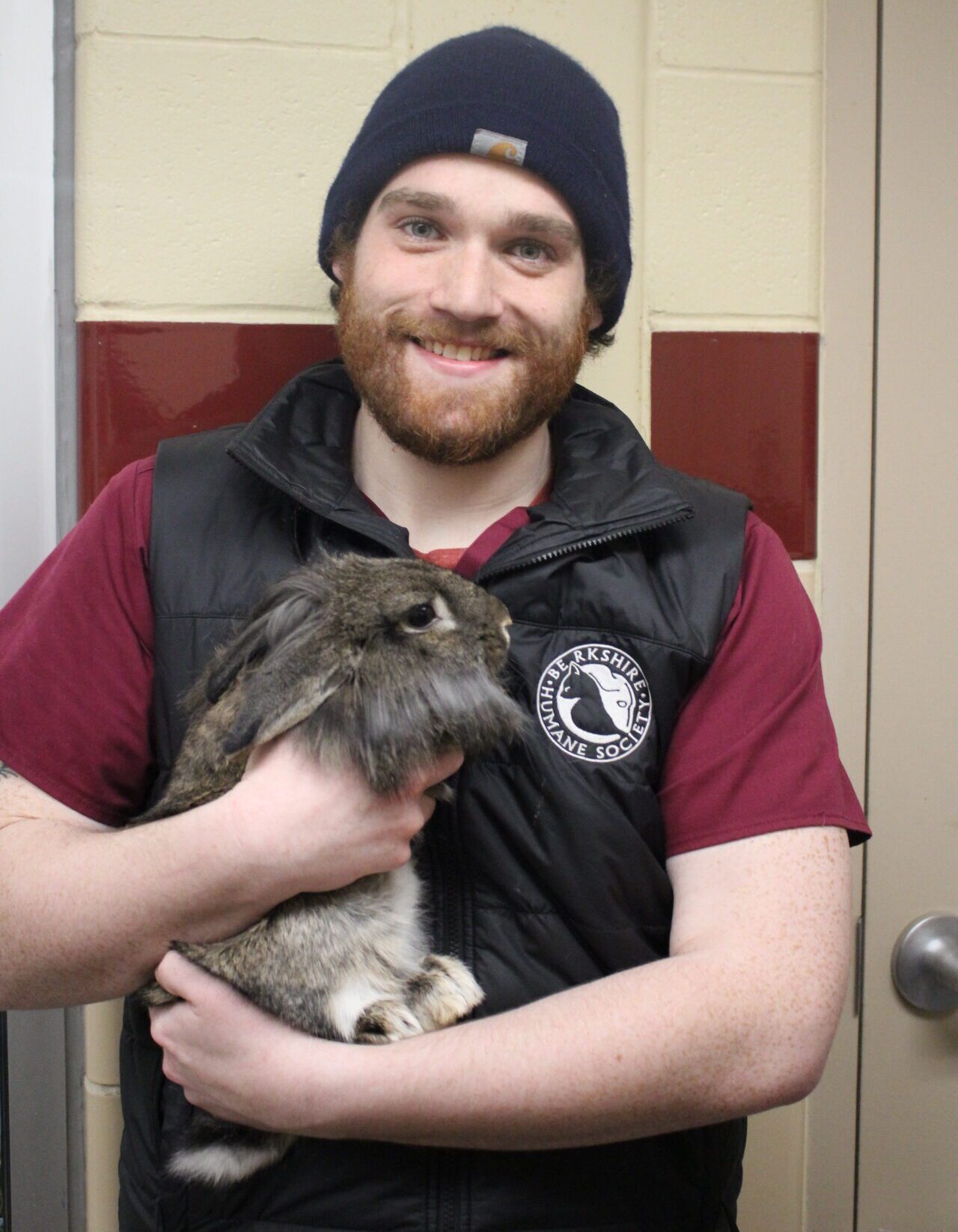 A man with a black knit cap and black Berkshire Humane Society vest holds a rabbit