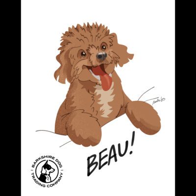 Line drawing of brown dog with Barkshire Dog Trading Company logo and "Beau!"