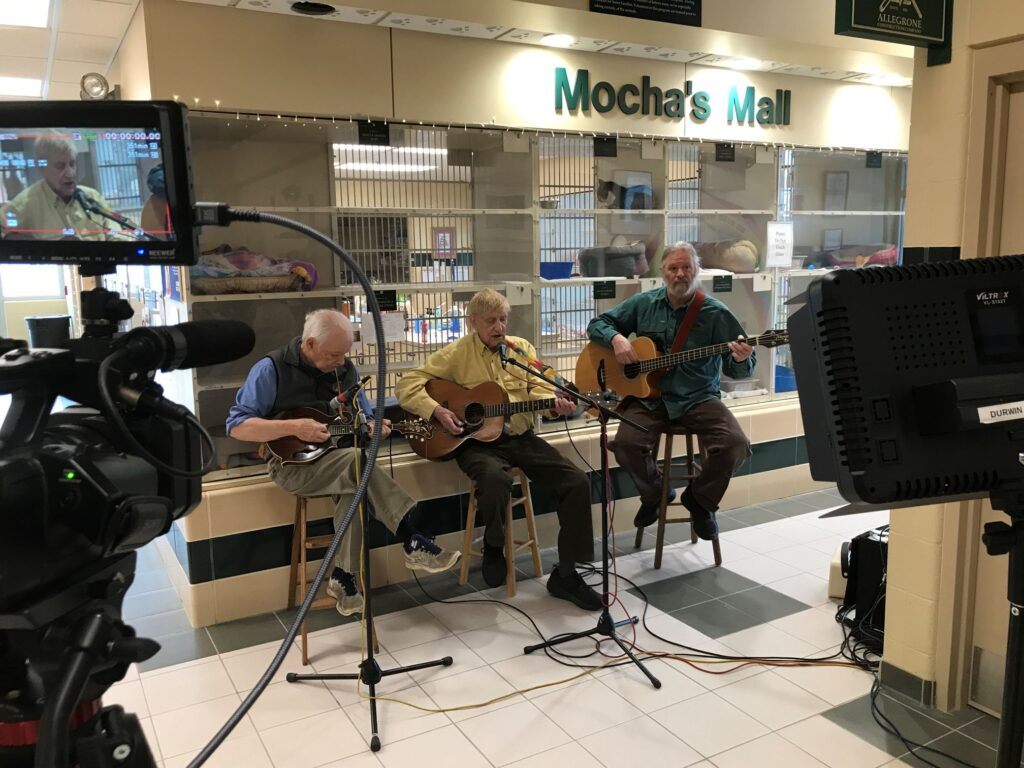 Three men sit behind microphones and a camera and in front of a "cat mall" with a cat visible in the upper center condo; left to right mandolin, guitar and bass.