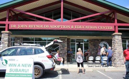 Subaru parked in front of an animal shelter