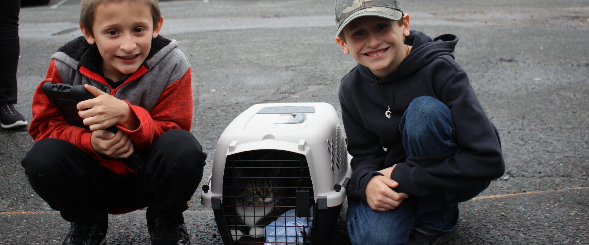 Two boys kneel on either side of a cat in a carrier
