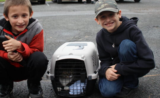 Two boys kneel on either side of a cat in a carrier